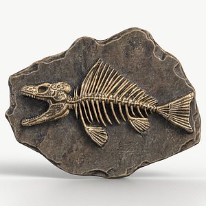 Prehistoric Fish Skeleton Fossil 020 Textured