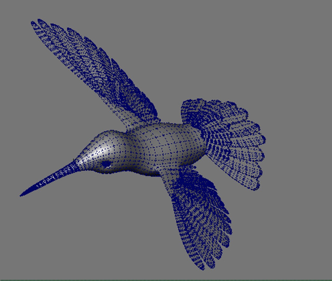 Hummingbird Ma