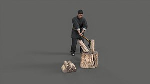 Split Fire wood 3D model