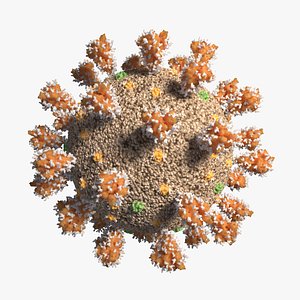 Coronavirus Sars-CoV-2