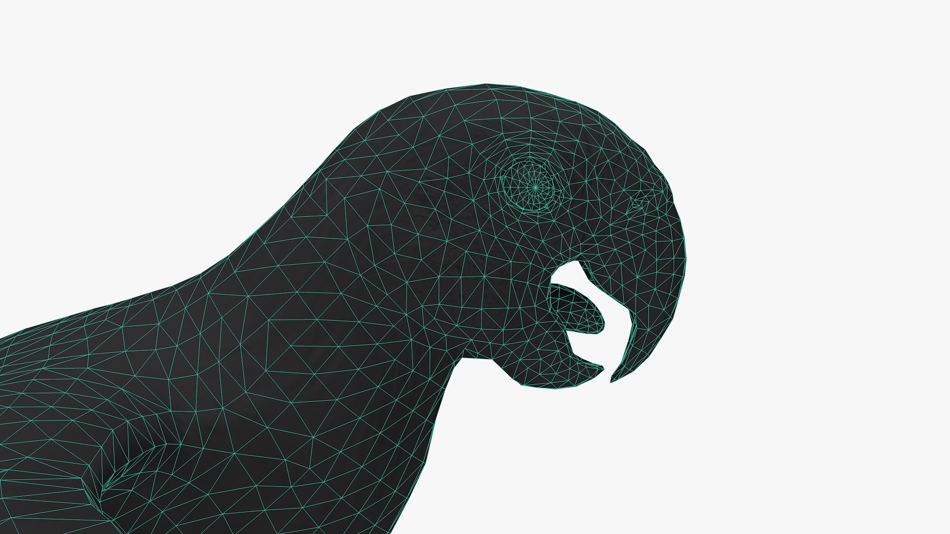 3D Parrot Model - TurboSquid 1840872