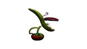 Carnivorous Plant 3D