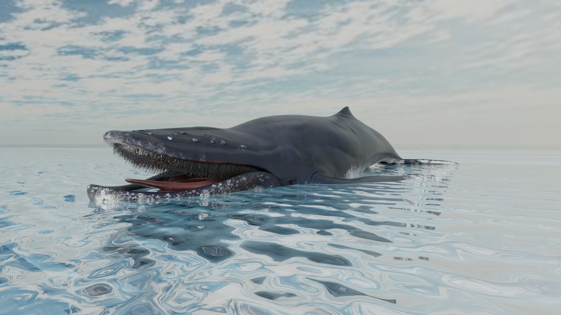 3D Humpback Whale Animated - TurboSquid 1944545