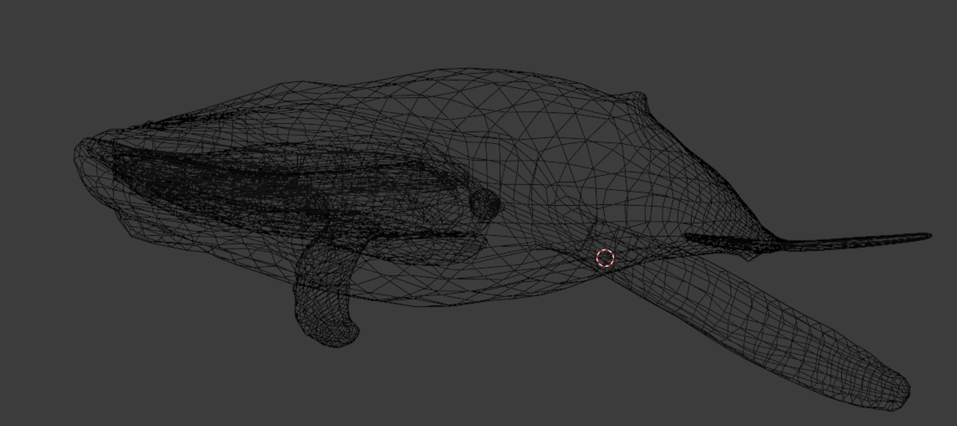 3D Humpback Whale Animated - TurboSquid 1944545