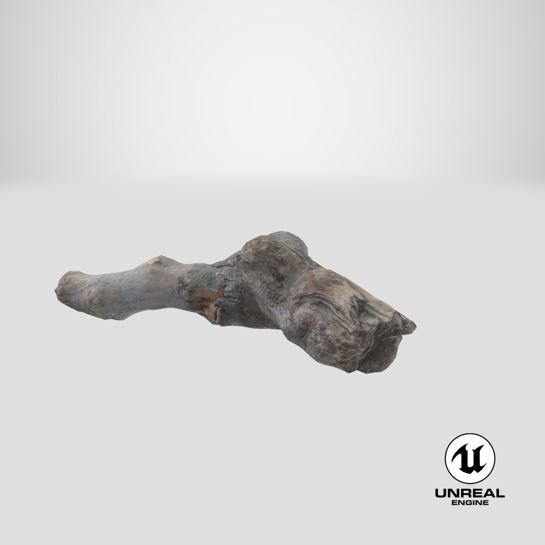 Twig 11 model https://p.turbosquid.com/ts-thumb/Kt/pMbNPm/2G/stemcell_unreal_render/png/1664778514/1920x1080/fit_q87/dd9df05ce9ffd787dd6055142ba202e48cedfa55/stemcell_unreal_render.jpg
