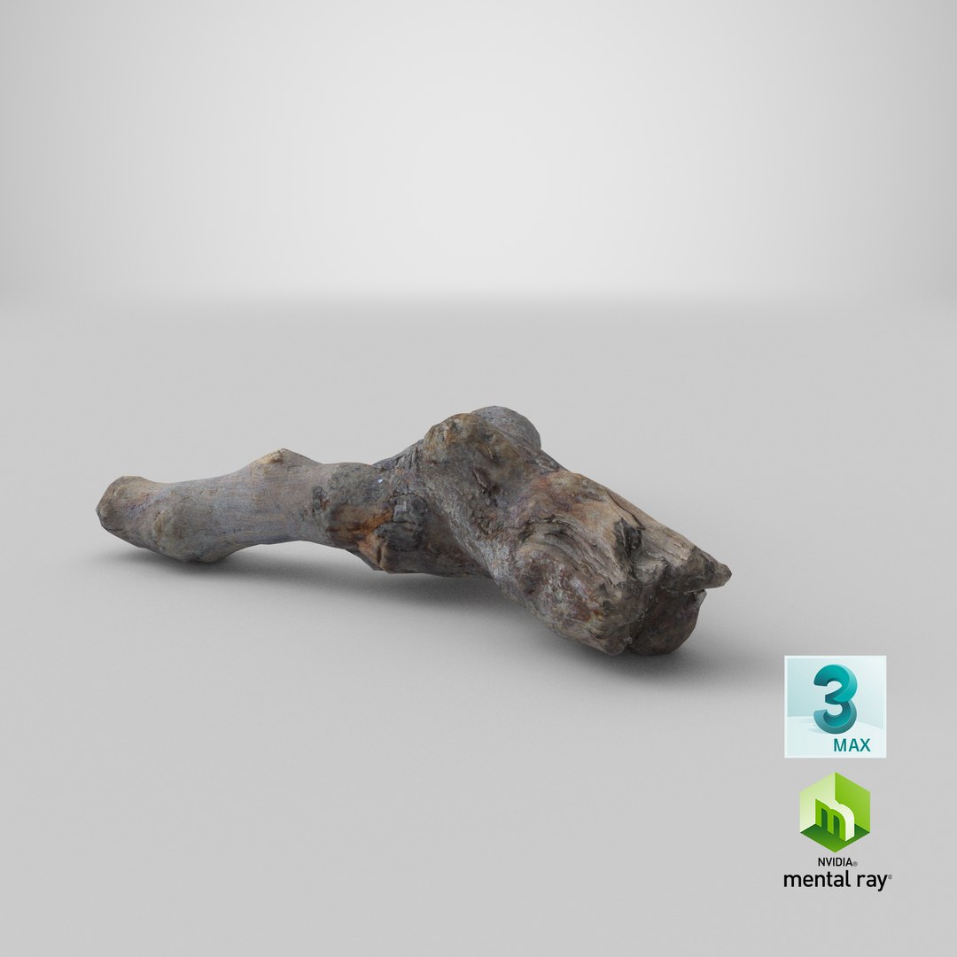 Twig 11 model https://p.turbosquid.com/ts-thumb/Kt/pMbNPm/3z/stemcell_max_mental_ray_render/png/1664778517/1920x1080/fit_q87/2eb1e1d27848dc88270099362fa741dec3a5186c/stemcell_max_mental_ray_render.jpg