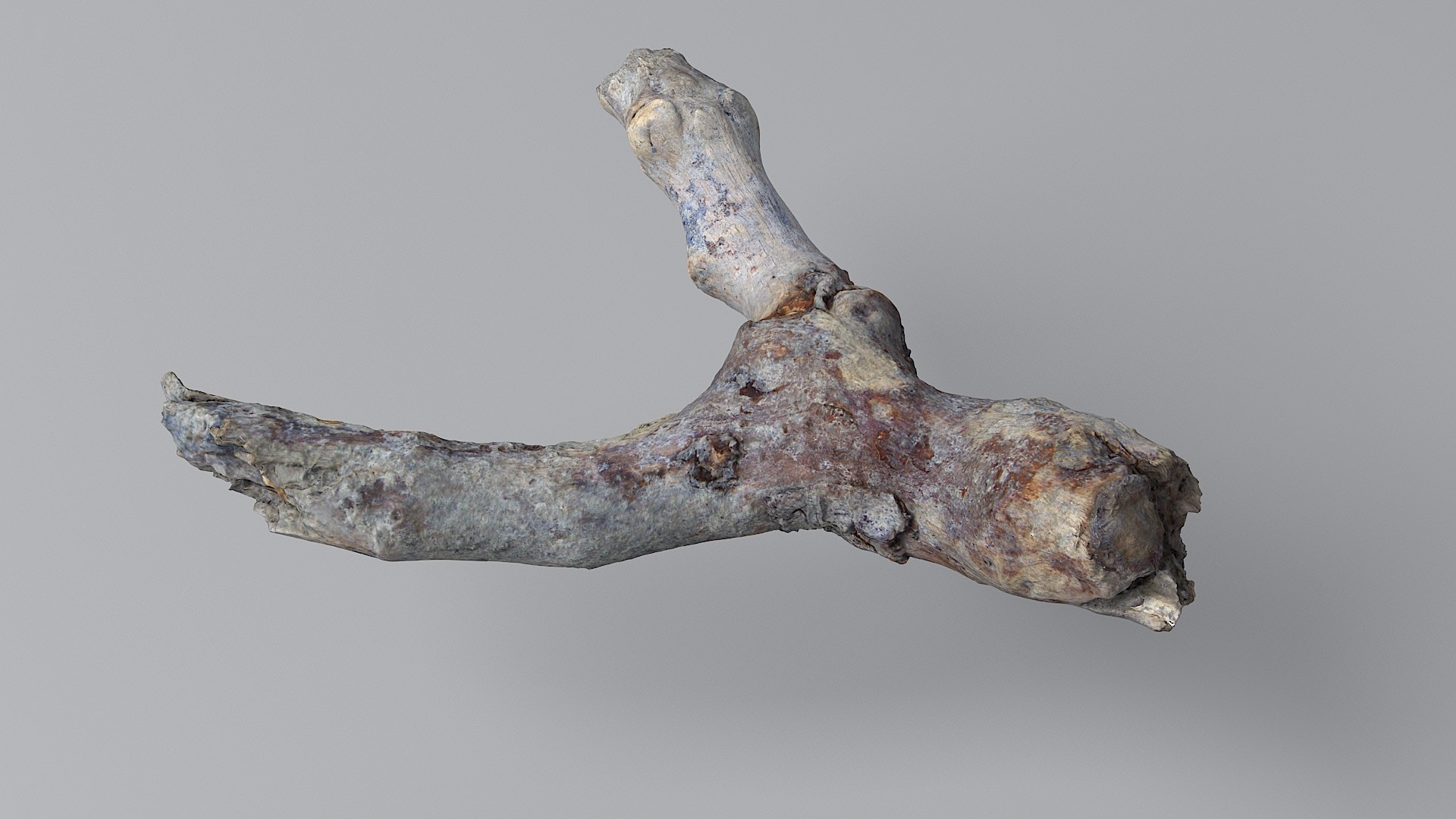 Twig 11 model https://p.turbosquid.com/ts-thumb/Kt/pMbNPm/4c/stick_11_08/jpg/1664214938/1920x1080/fit_q87/089a6196f86265274fadaca09febc177596c28e9/stick_11_08.jpg