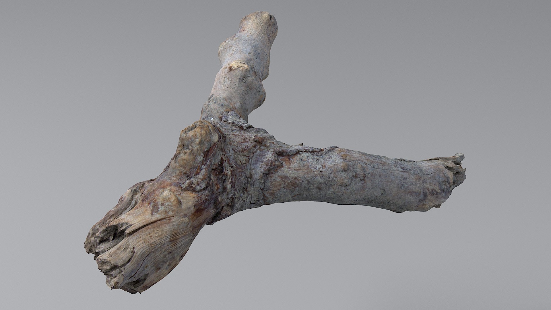 Twig 11 model https://p.turbosquid.com/ts-thumb/Kt/pMbNPm/f0/stick_11_06/jpg/1664214937/1920x1080/fit_q87/b9e321e48afe3337db768dc52bd4f332f409c26f/stick_11_06.jpg