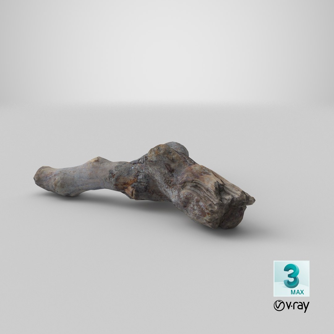 Twig 11 model https://p.turbosquid.com/ts-thumb/Kt/pMbNPm/gM/stemcell_max_vray_render/png/1664778520/1920x1080/fit_q87/2d73f7461691c54aba4cdabb4e1a5f558fd54c8e/stemcell_max_vray_render.jpg