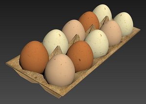 3d model eggs box carton