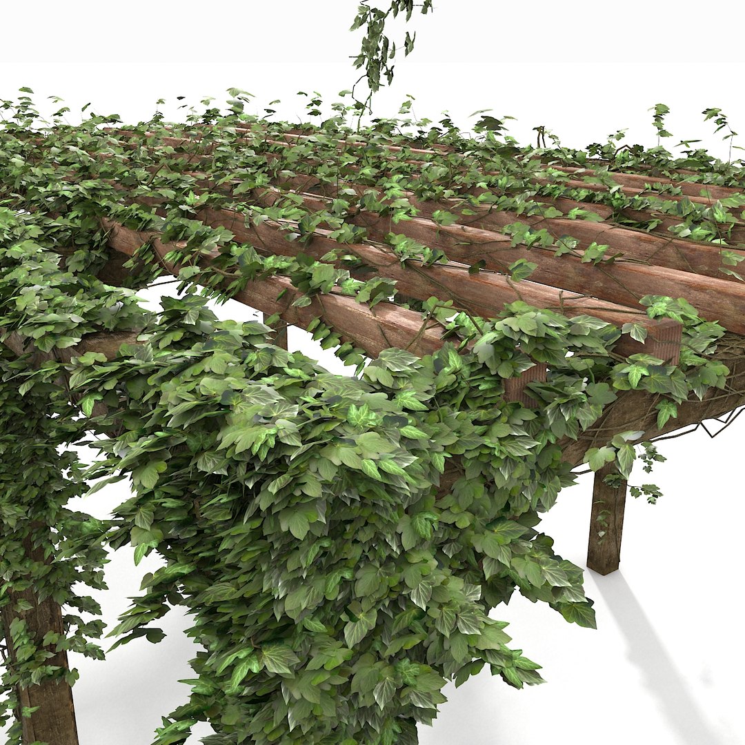 garden pergola wooden 3d model