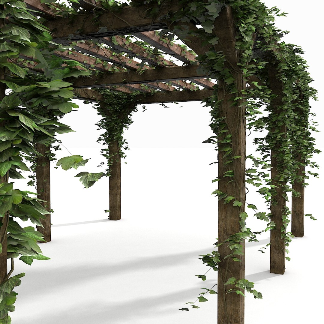 garden pergola wooden 3d model