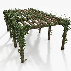 Wooden Pergola With Ivy Plant