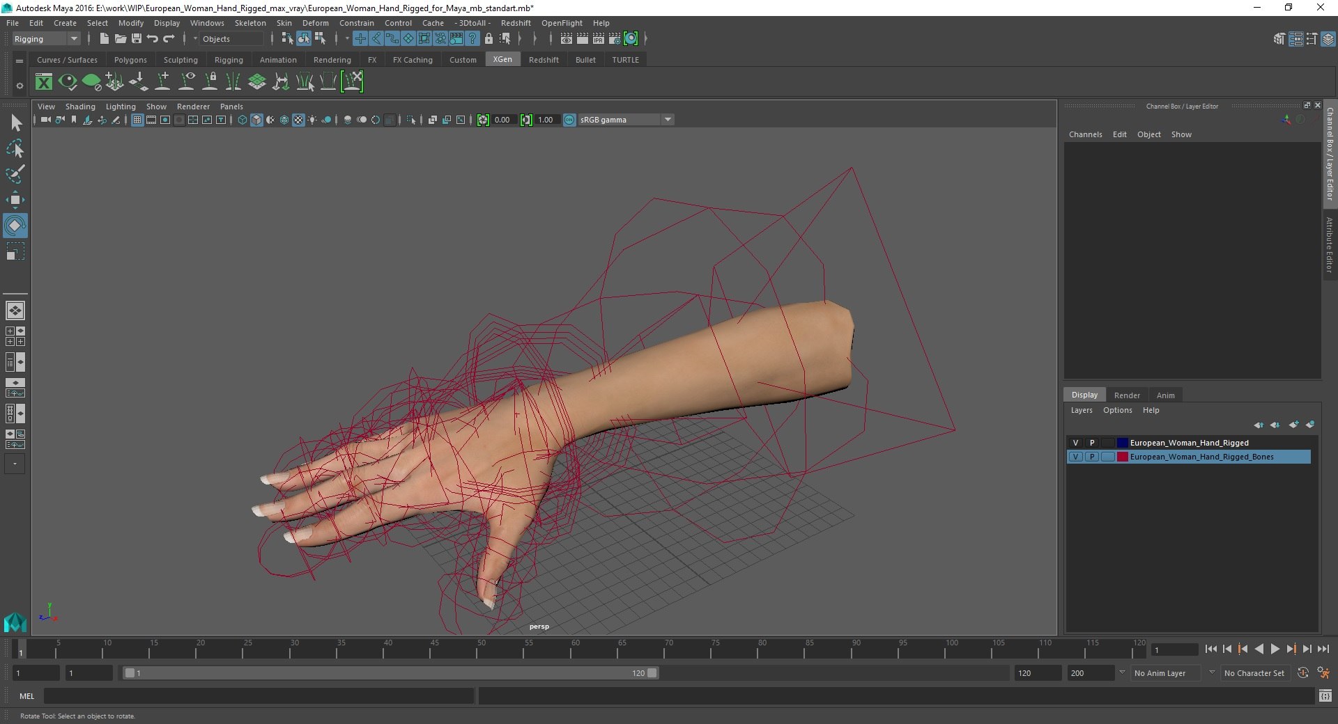European Woman Hand Rigged For Maya 3D Model - TurboSquid 2177894