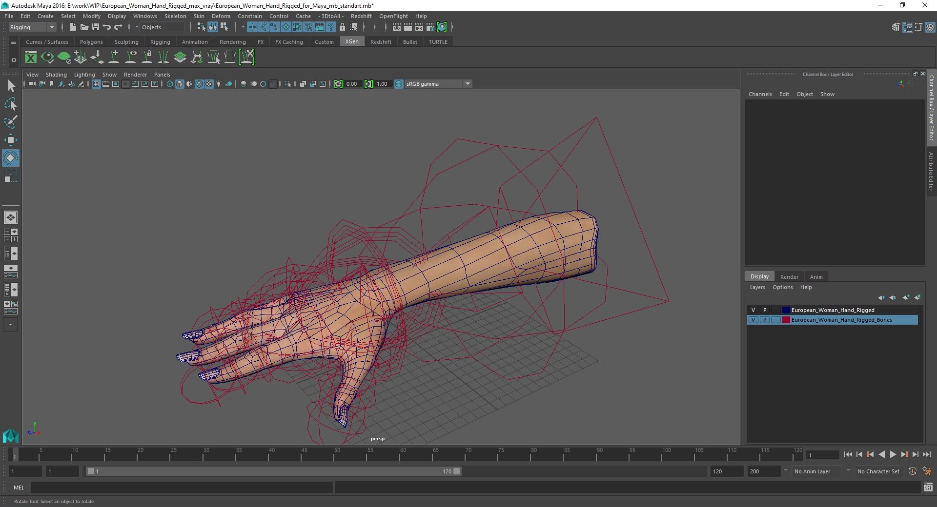 European Woman Hand Rigged For Maya 3D Model - TurboSquid 2177894