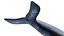 Whale 3D Model 3D model
