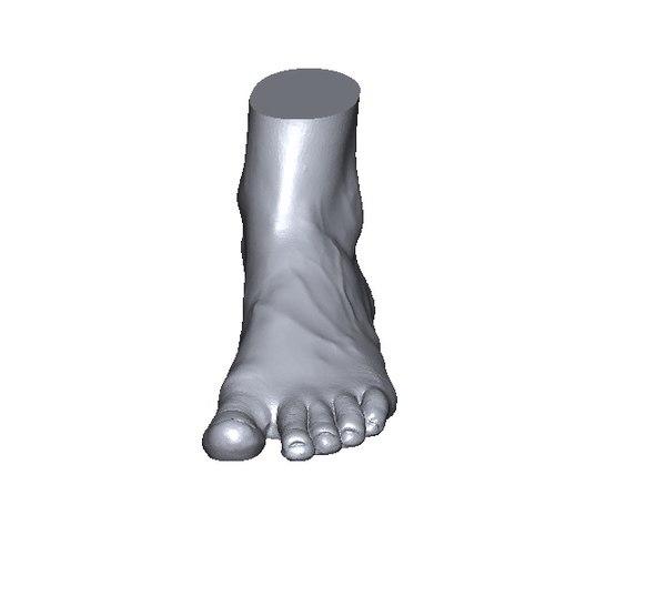 scan foot 3D model