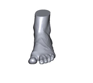 Pied3