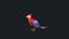 Parrot Character