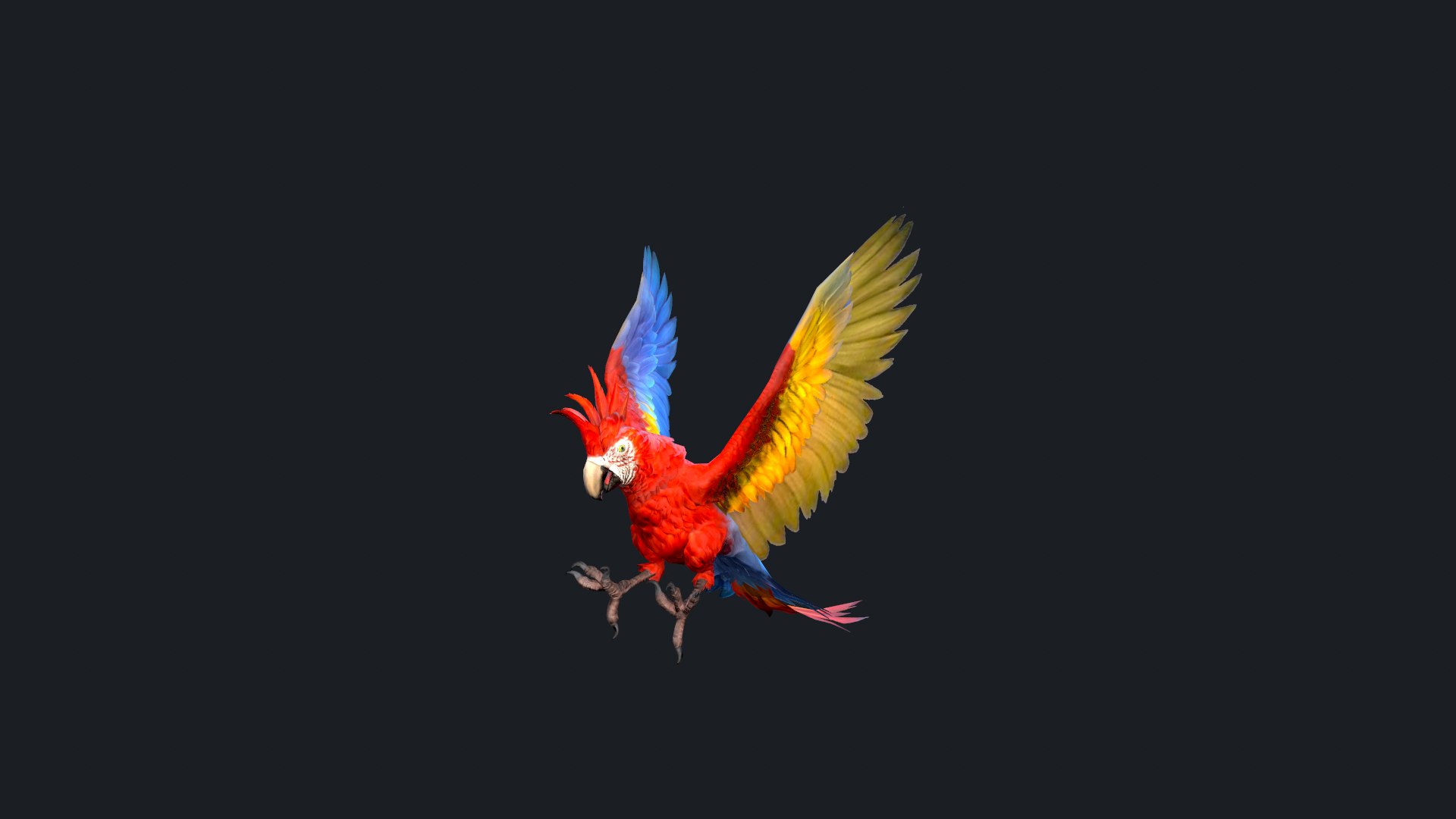 3D model Parrot Character https://p.turbosquid.com/ts-thumb/Ku/iegPvC/ON/screenshot000/png/1673325558/1920x1080/fit_q87/ad850a161d7f6b5bd8c76db3e39b14e00b8202a8/screenshot000.jpg