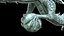 OrientalDragon 3DAnimation