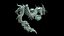 OrientalDragon 3DAnimation