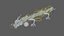 OrientalDragon 3DAnimation