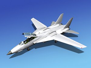 lwo bare metal grumman f-14d