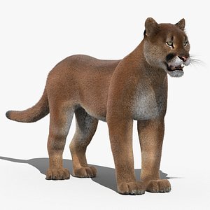 3d cougar fur