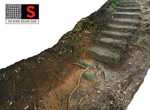 jungle road hd 16k 3D model