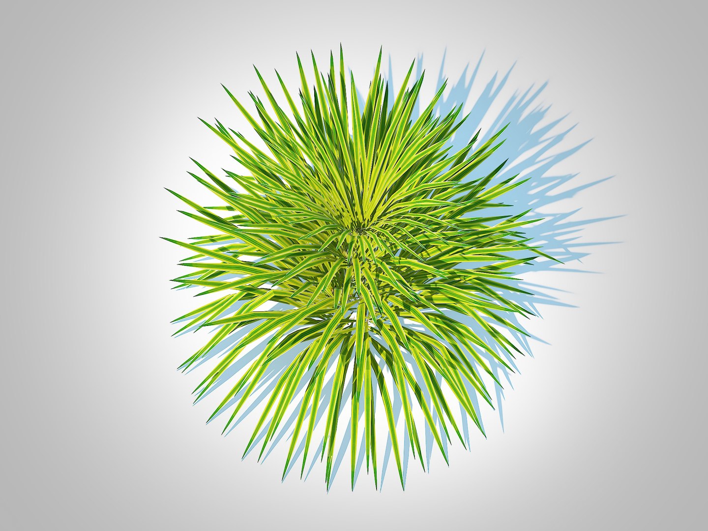 3D Hakonechloa - forest grass https://p.turbosquid.com/ts-thumb/Kv/J1SkyW/su/4/jpg/1731738625/1920x1080/fit_q87/ecf7c98de79b37d00da9266379cb94377697bc20/4.jpg
