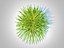 Hakonechloa - grama da floresta