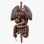 Human Anatomy 3D Model - Realistic Internal Organs
