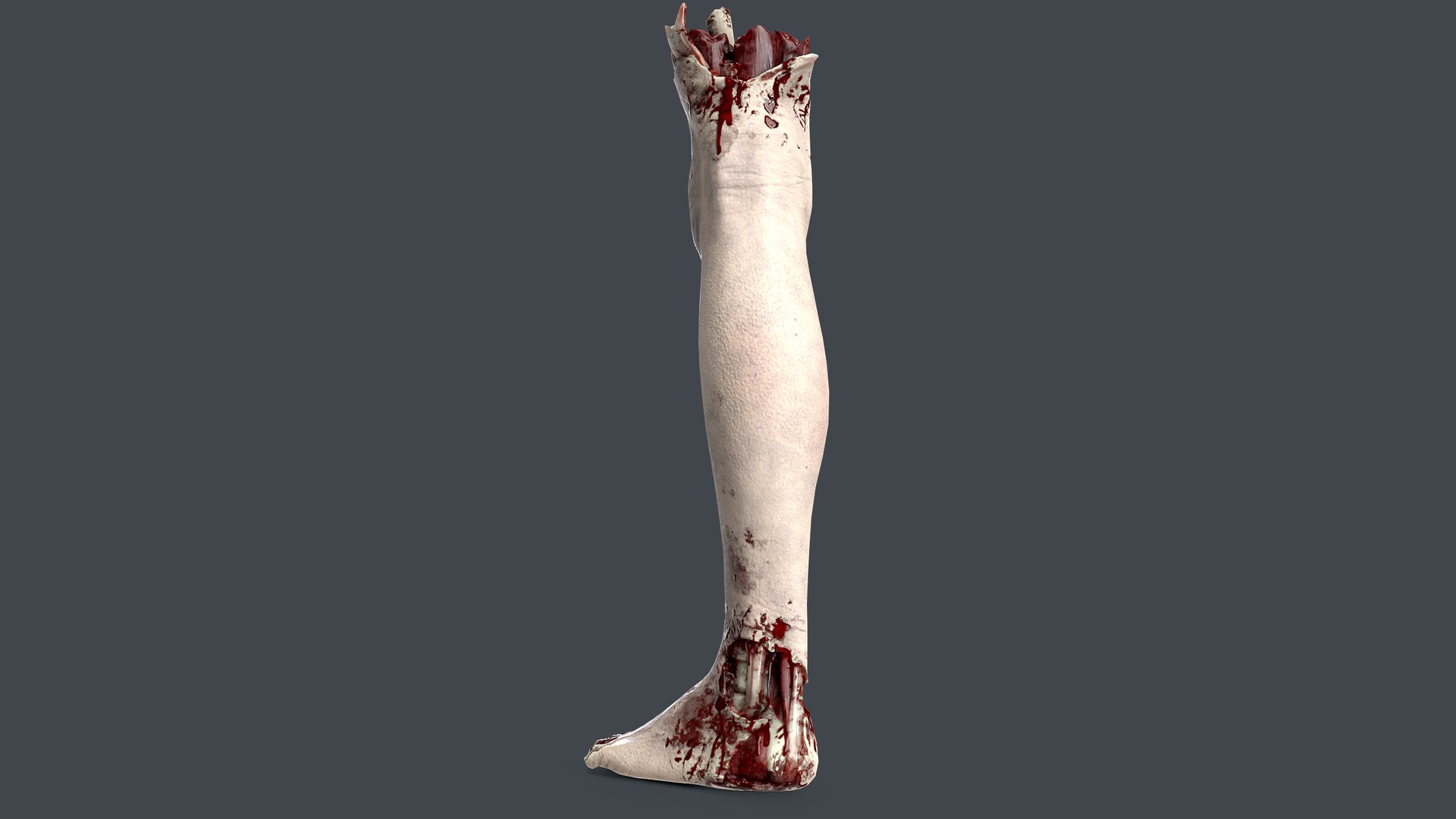 Severed Foot 3 3D model https://p.turbosquid.com/ts-thumb/Kv/PLHTh1/0V/4/png/1658389487/1920x1080/fit_q87/c3ac3dcd677c68abf25393c75a55538328a25598/4.jpg