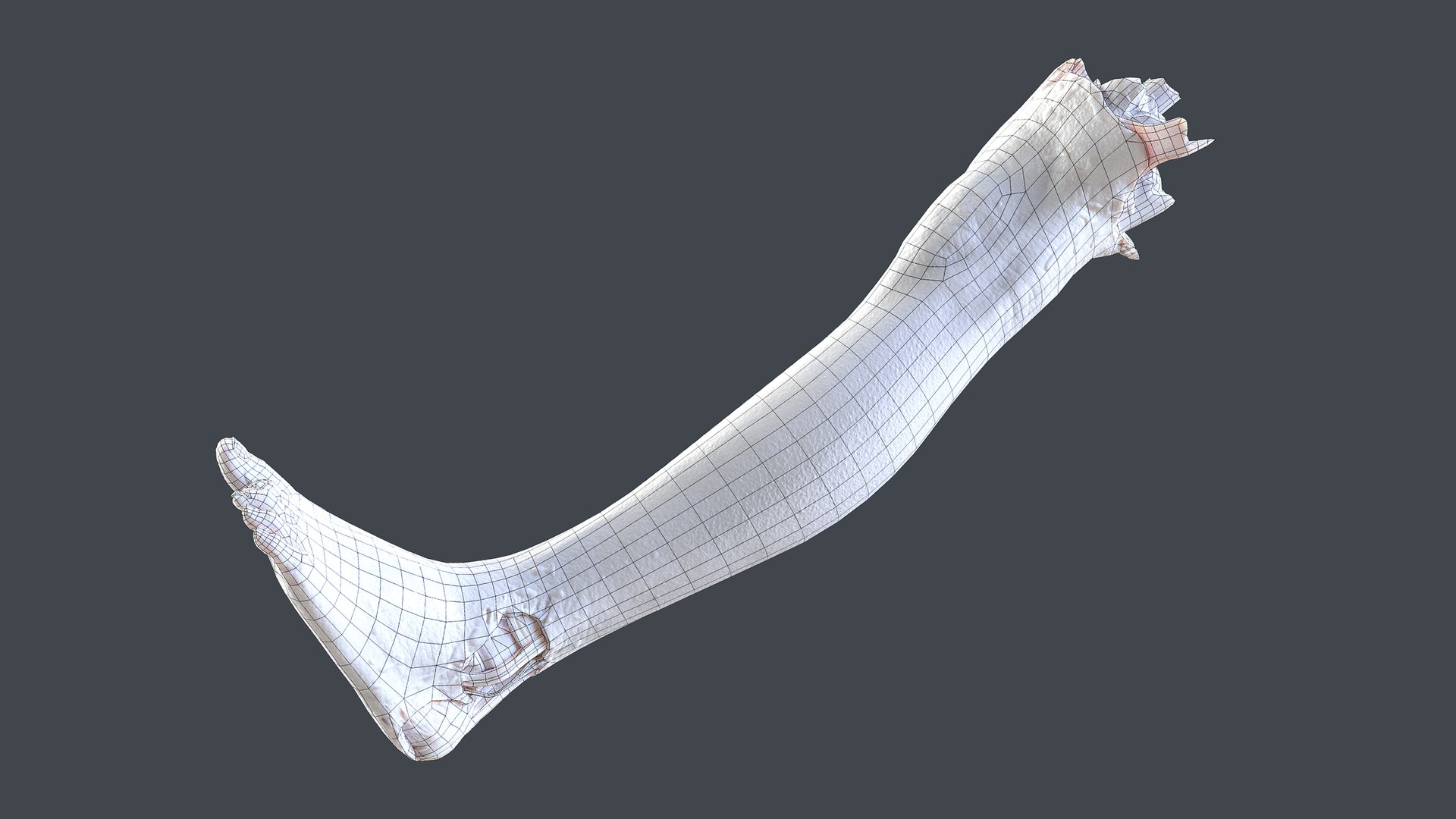 Severed Foot 3 3D model https://p.turbosquid.com/ts-thumb/Kv/PLHTh1/43/wire1/png/1658389574/1920x1080/fit_q87/b91bff2c36da2fffc32e7429f647d9409dca9f7c/wire1.jpg
