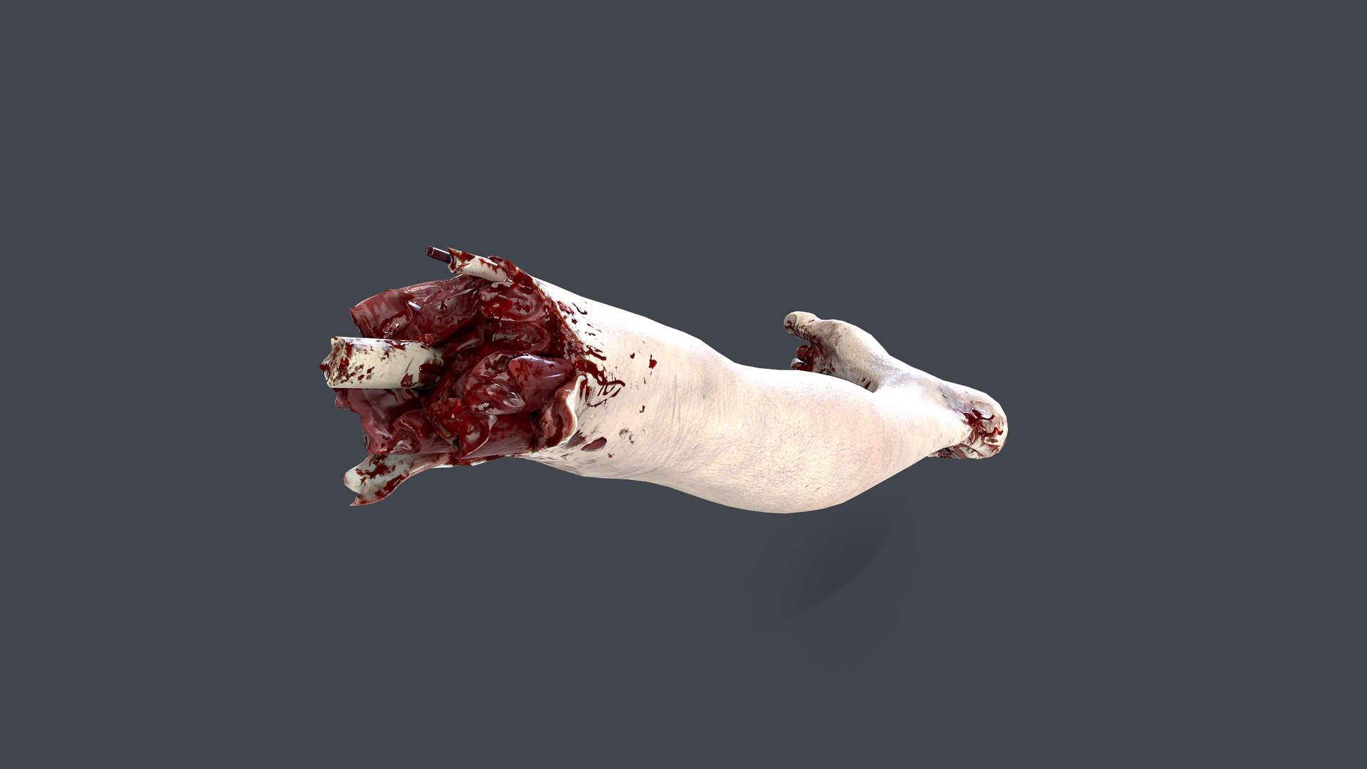 Severed Foot 3 3D model https://p.turbosquid.com/ts-thumb/Kv/PLHTh1/5J/6/png/1658389489/1920x1080/fit_q87/c3433003c9e658707d9ba88e1b012a2532ed6e55/6.jpg