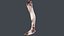 Severed Foot 3