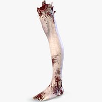 Severed Foot 3