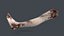 Severed Foot 3