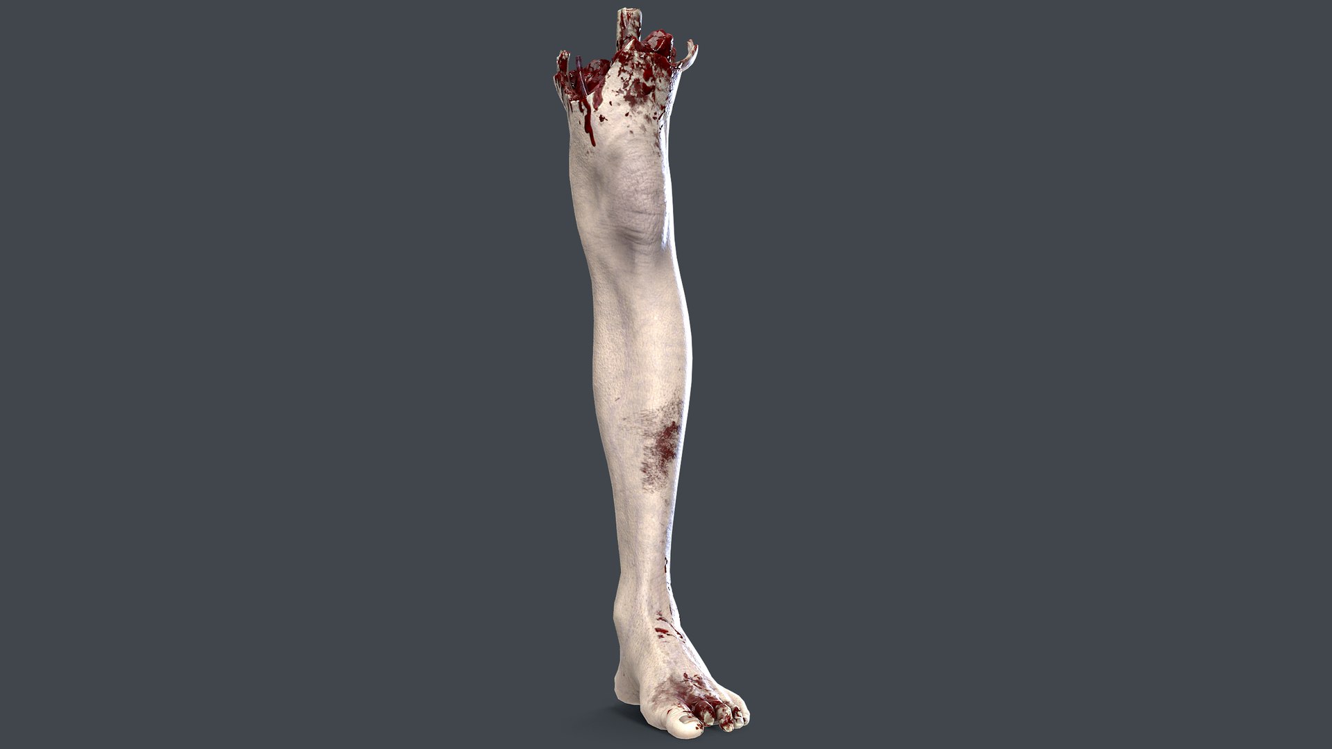 Severed Foot 3 3D model https://p.turbosquid.com/ts-thumb/Kv/PLHTh1/Qq/2/png/1658389486/1920x1080/fit_q87/120efd593c3cd4d669ba06a417d8ba457fc40028/2.jpg