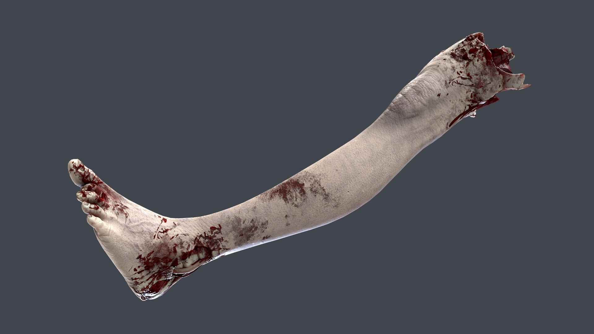 Severed Foot 3 3D model https://p.turbosquid.com/ts-thumb/Kv/PLHTh1/RN/8/png/1658389490/1920x1080/fit_q87/076281a7a1412eae07a8669ea41e027c1653e68f/8.jpg