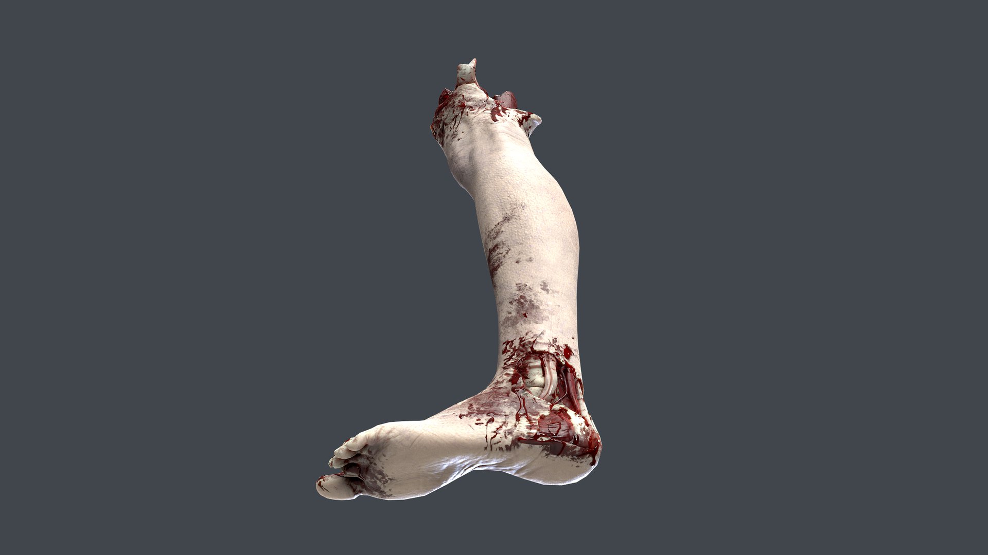 Severed Foot 3 3D model https://p.turbosquid.com/ts-thumb/Kv/PLHTh1/WG/5/png/1658389487/1920x1080/fit_q87/4810cdeb71f3cc53d117f3508f605b7af64781e6/5.jpg