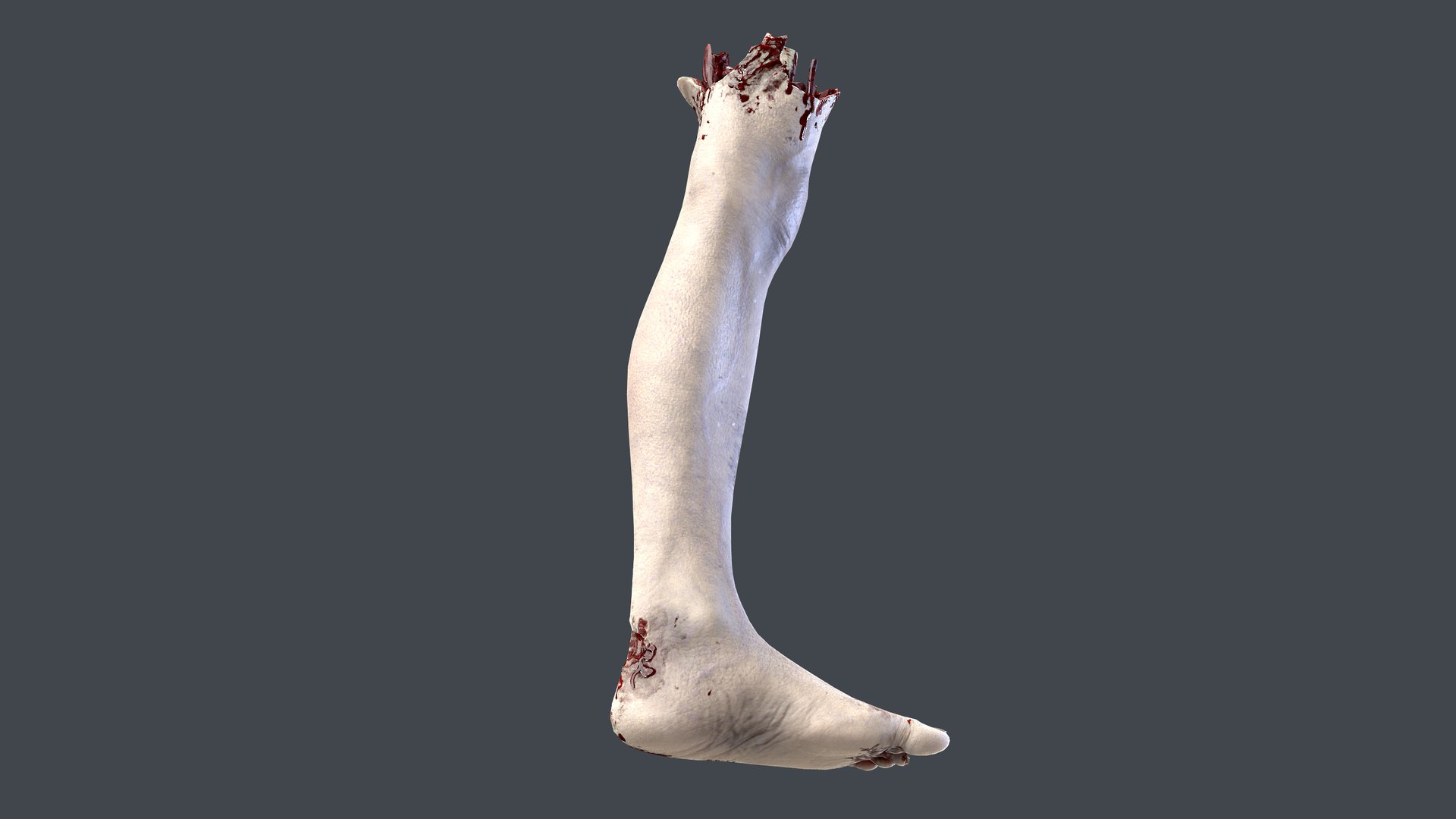 Severed Foot 3 3D model https://p.turbosquid.com/ts-thumb/Kv/PLHTh1/gV/3/png/1658389486/1920x1080/fit_q87/d5a4255360eb5dbb9d996d16b48195e2eb2d5b70/3.jpg