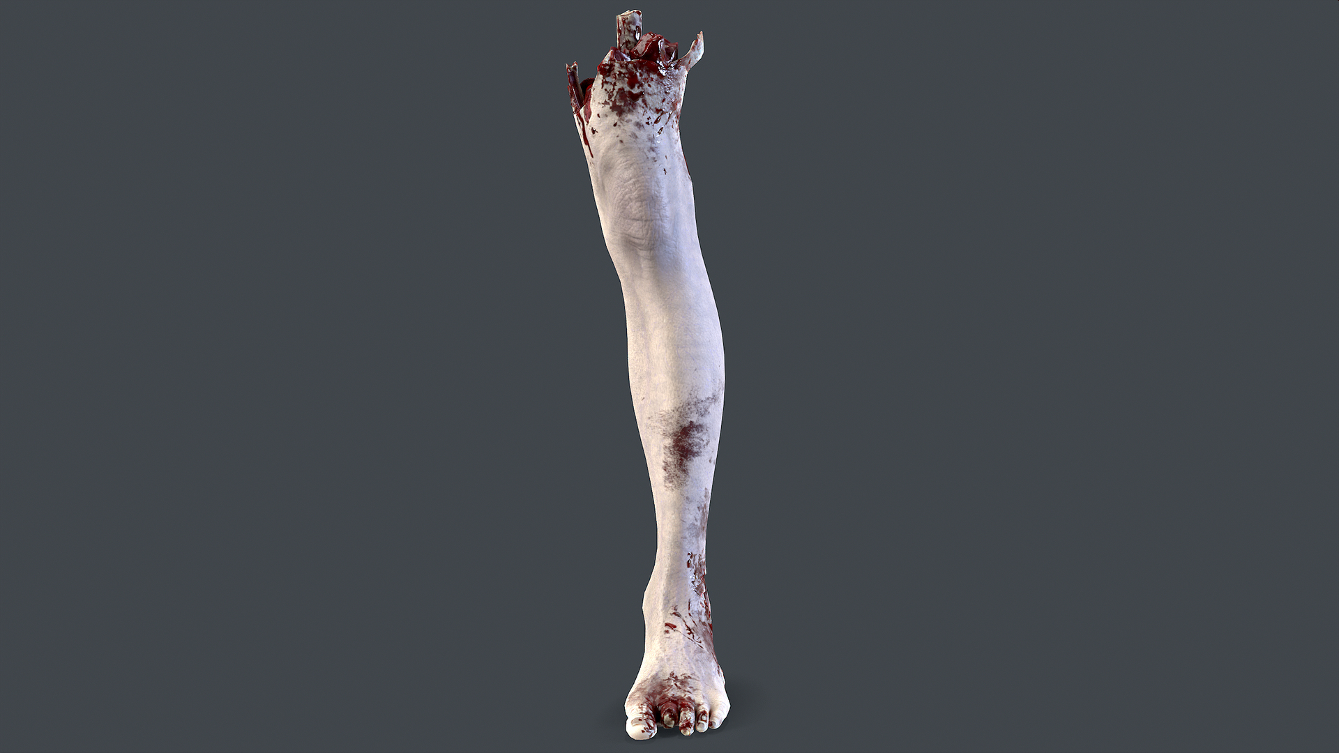 Severed Foot 3 3D model https://p.turbosquid.com/ts-thumb/Kv/PLHTh1/oI/untitled/png/1658389617/1920x1080/turn_fit_q99/9d289ad1aaabafcbeef650ee8592012614512667/untitled-1.jpg