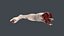 Severed Foot 3