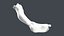Severed Foot 3