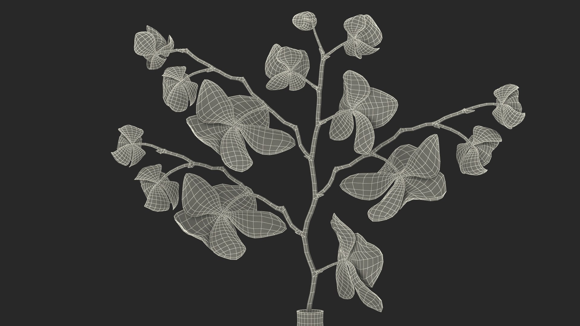 Black Vase with Phalaenopsis Orchid 3D https://p.turbosquid.com/ts-thumb/Kv/RVZ6uy/1o/blackvasewithphalaenopsisorchidmb3dmodel027/jpg/1686081107/1920x1080/fit_q87/915010f7681ddabf70b64451840e012cb4cc91b5/blackvasewithphalaenopsisorchidmb3dmodel027.jpg