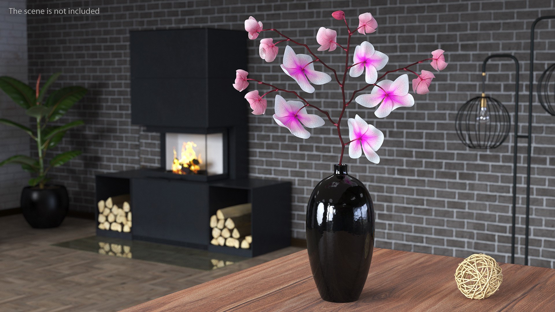 Black Vase with Phalaenopsis Orchid 3D https://p.turbosquid.com/ts-thumb/Kv/RVZ6uy/5A/blackvasewithphalaenopsisorchidmb3dmodel003/jpg/1686081019/1920x1080/fit_q87/fec8a56f4002da80008282e8f512039bc46d55e3/blackvasewithphalaenopsisorchidmb3dmodel003.jpg
