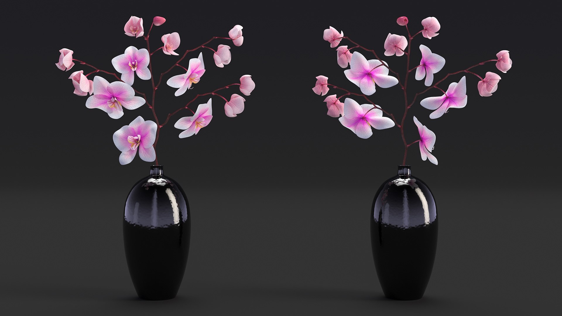 Black Vase with Phalaenopsis Orchid 3D https://p.turbosquid.com/ts-thumb/Kv/RVZ6uy/6V/blackvasewithphalaenopsisorchidmb3dmodel008/jpg/1686081037/1920x1080/fit_q87/2d130c67a6eeafefd4fbf8fb5419c4aee14dda65/blackvasewithphalaenopsisorchidmb3dmodel008.jpg