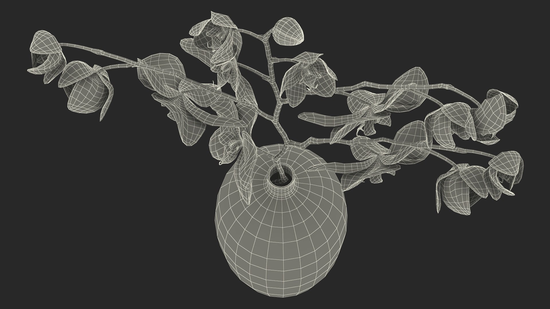 Black Vase with Phalaenopsis Orchid 3D https://p.turbosquid.com/ts-thumb/Kv/RVZ6uy/DO/blackvasewithphalaenopsisorchidmb3dmodel028/jpg/1686081110/1920x1080/fit_q87/08670e98231e2067a4062aca041168389d218490/blackvasewithphalaenopsisorchidmb3dmodel028.jpg